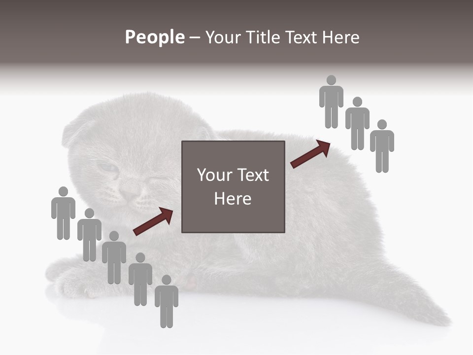 Scratch British English PowerPoint Template