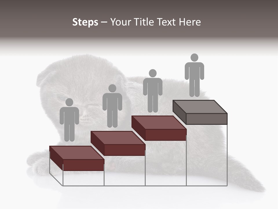 Scratch British English PowerPoint Template