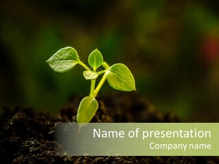 Nature Vegetable Country PowerPoint Template