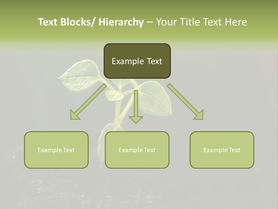 Nature Vegetable Country PowerPoint Template