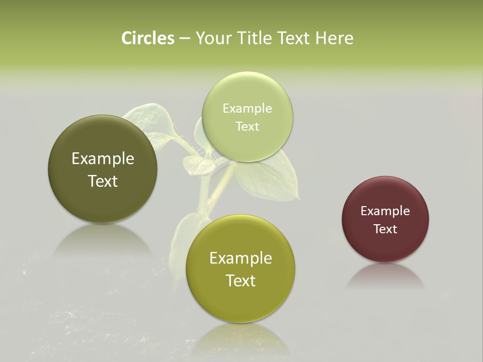 Nature Vegetable Country PowerPoint Template