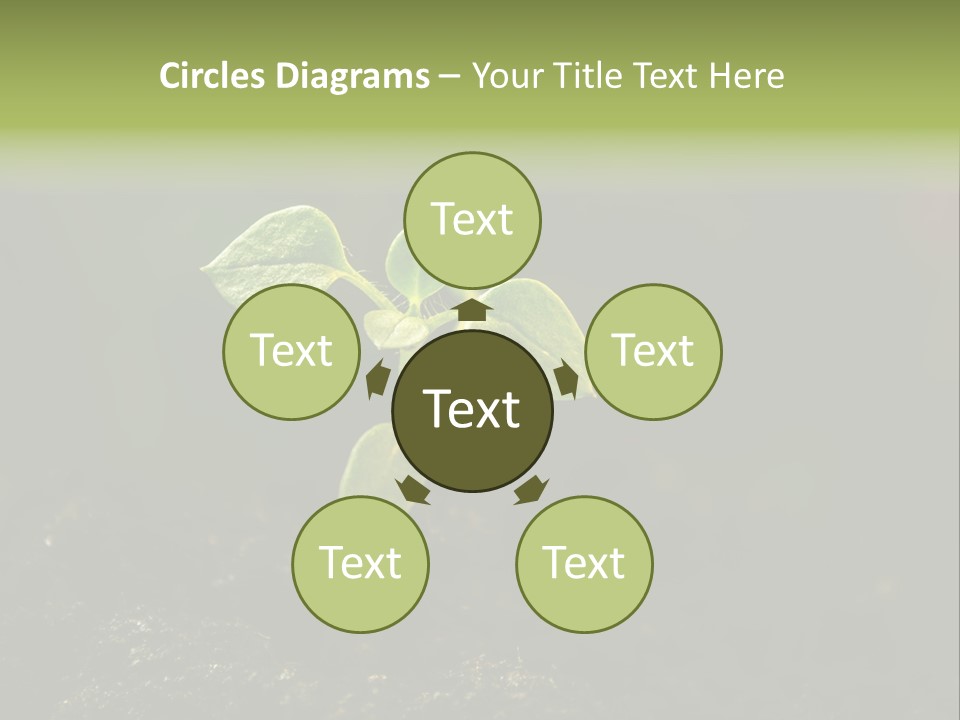 Nature Vegetable Country PowerPoint Template