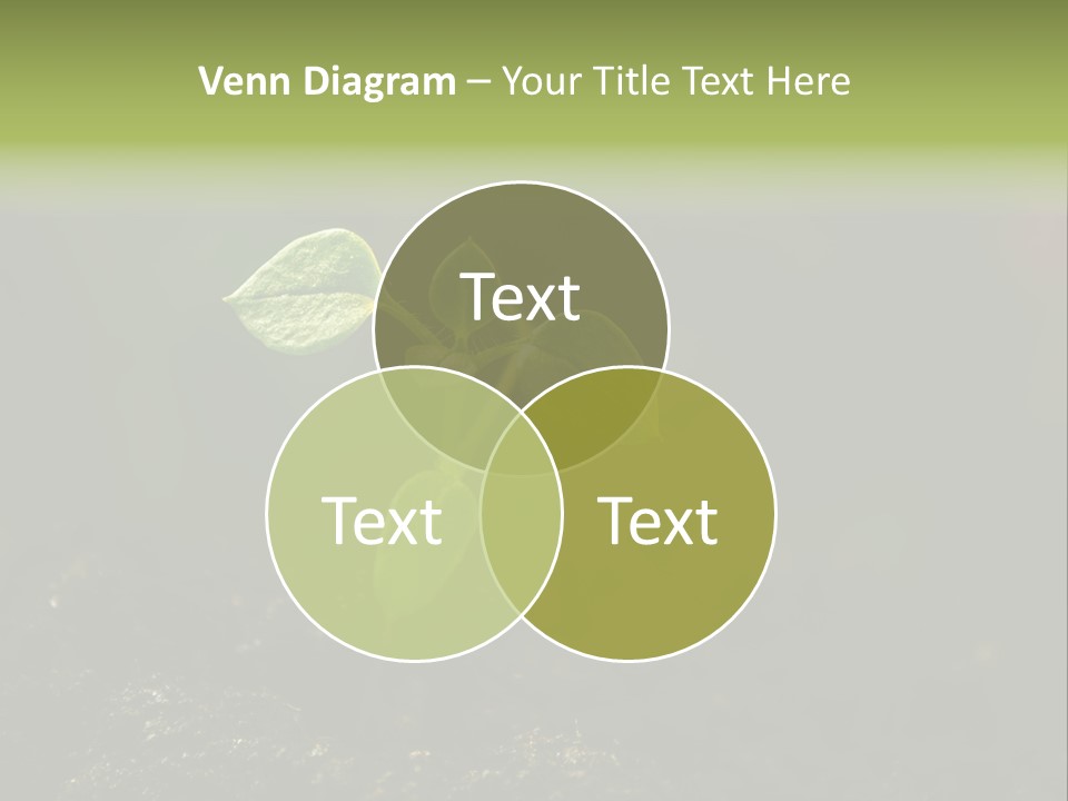 Nature Vegetable Country PowerPoint Template