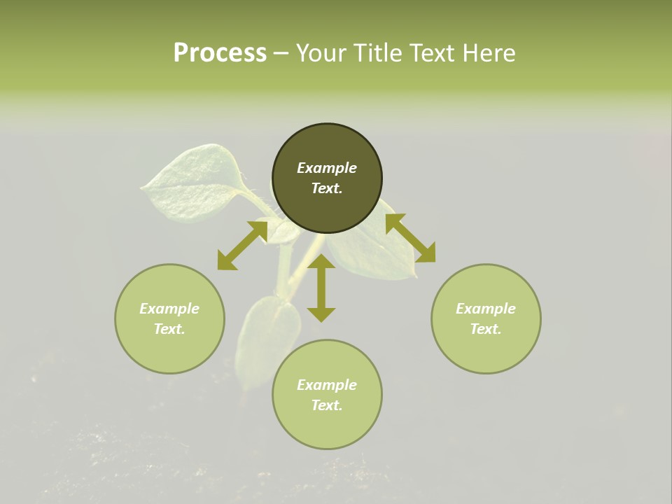 Nature Vegetable Country PowerPoint Template