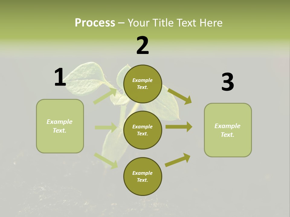 Nature Vegetable Country PowerPoint Template