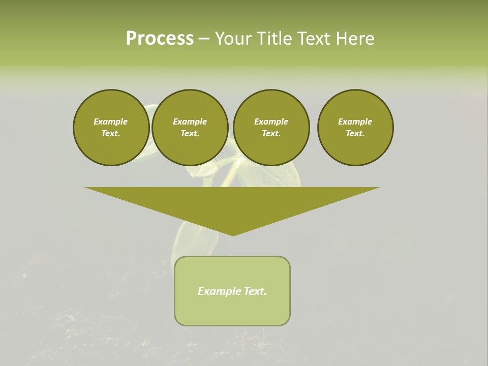 Nature Vegetable Country PowerPoint Template