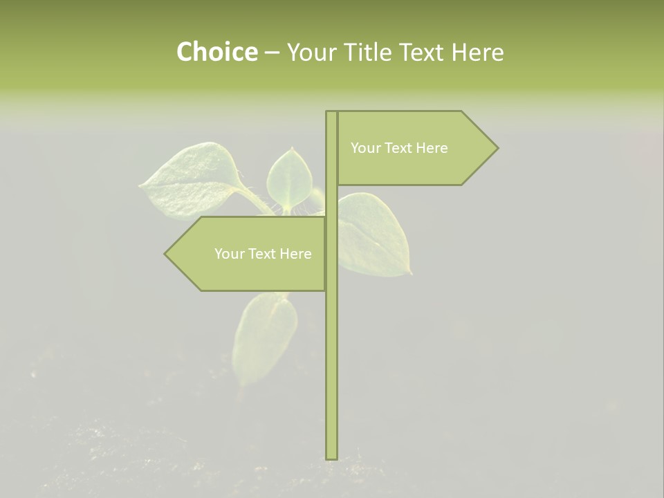 Nature Vegetable Country PowerPoint Template