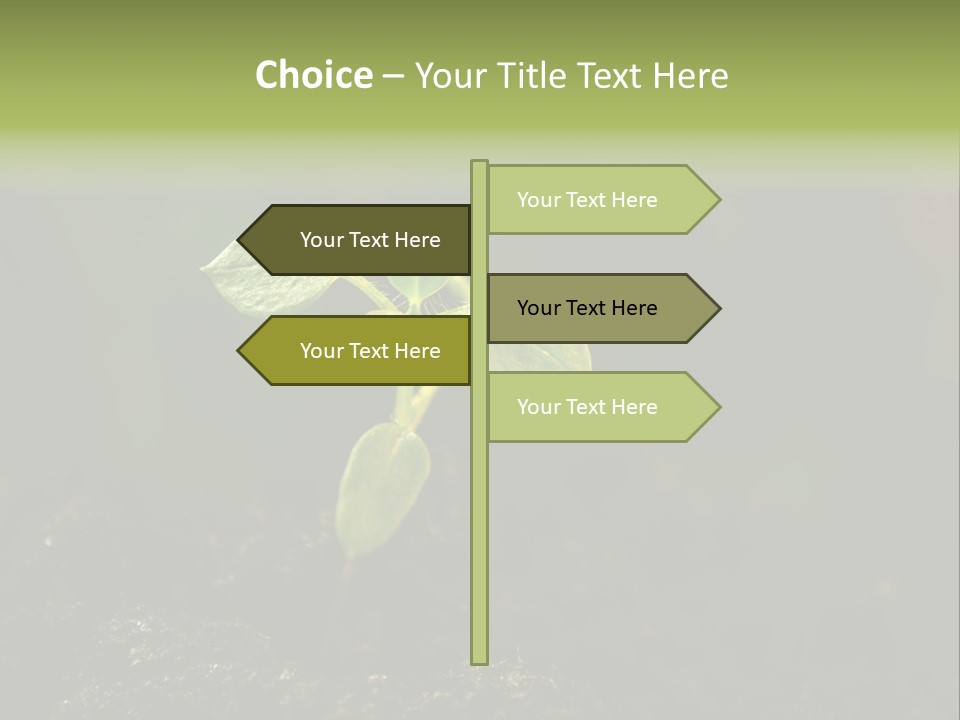 Nature Vegetable Country PowerPoint Template