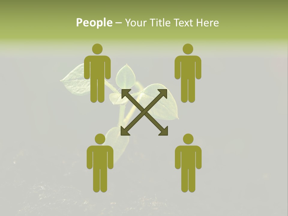 Nature Vegetable Country PowerPoint Template