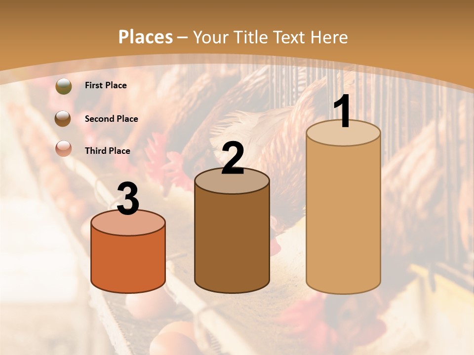 Domestic Business Country PowerPoint Template