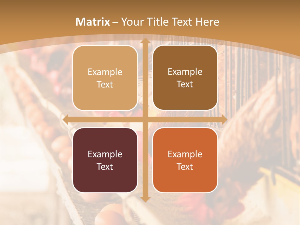 Domestic Business Country PowerPoint Template