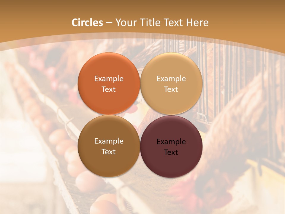 Domestic Business Country PowerPoint Template