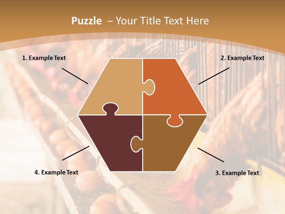Domestic Business Country PowerPoint Template
