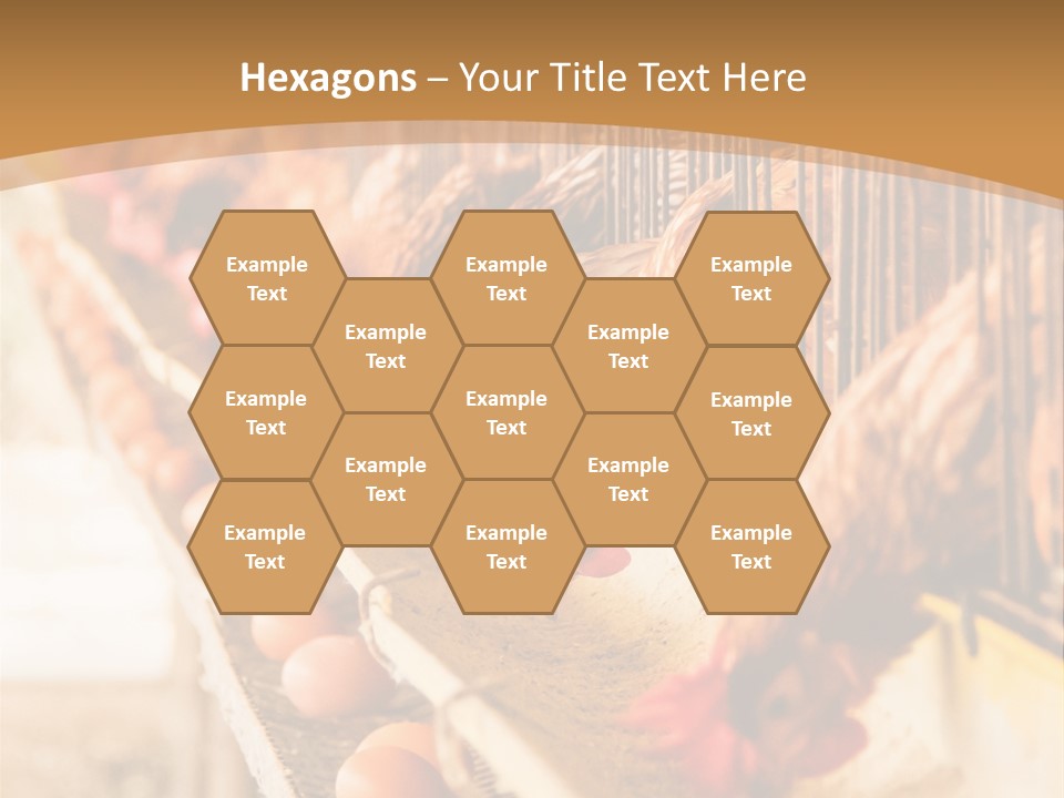 Domestic Business Country PowerPoint Template