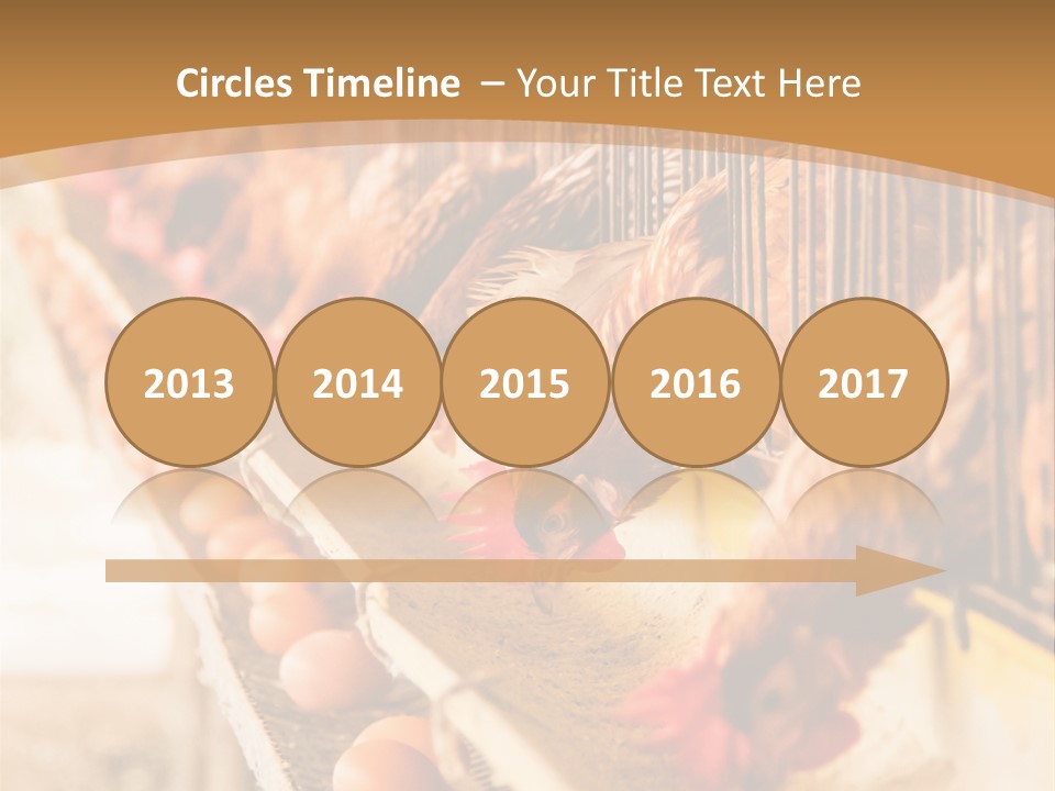 Domestic Business Country PowerPoint Template