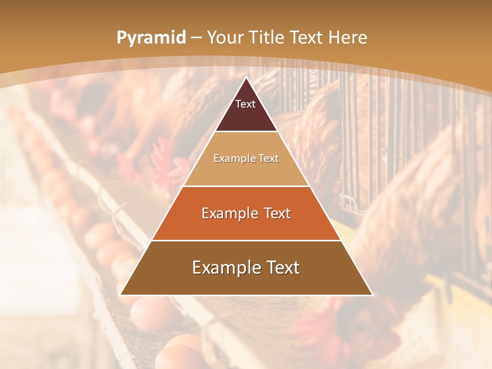 Domestic Business Country PowerPoint Template