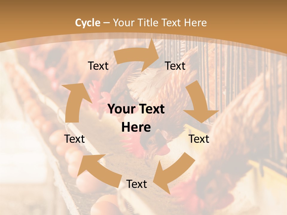 Domestic Business Country PowerPoint Template