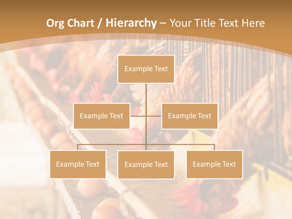 Domestic Business Country PowerPoint Template