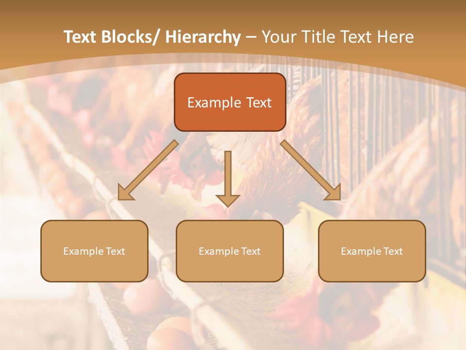 Domestic Business Country PowerPoint Template