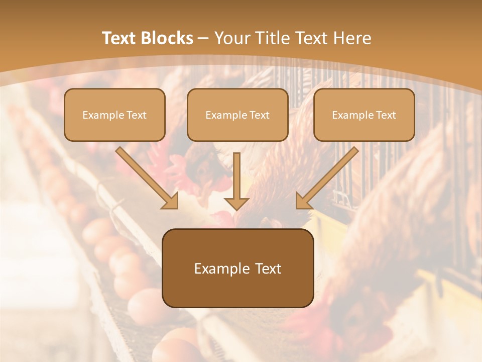 Domestic Business Country PowerPoint Template