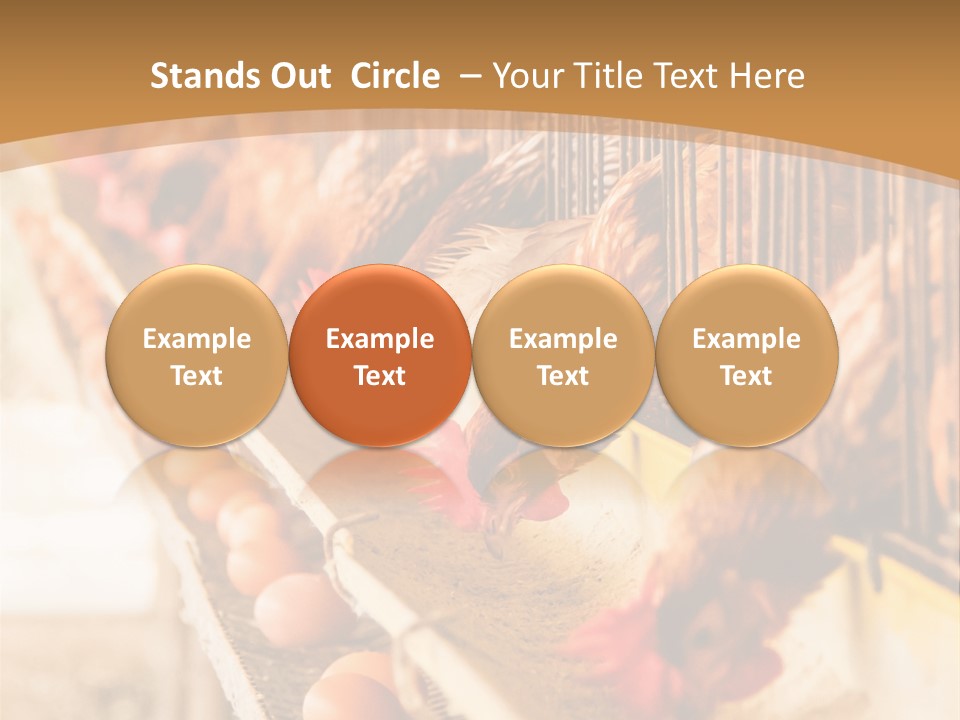 Domestic Business Country PowerPoint Template