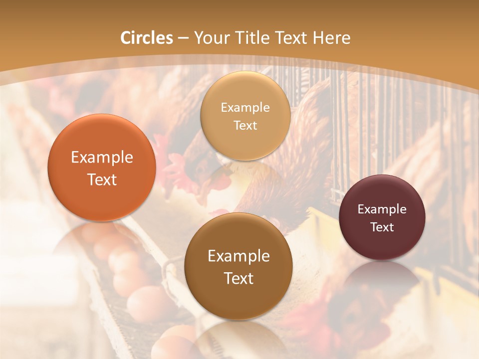 Domestic Business Country PowerPoint Template