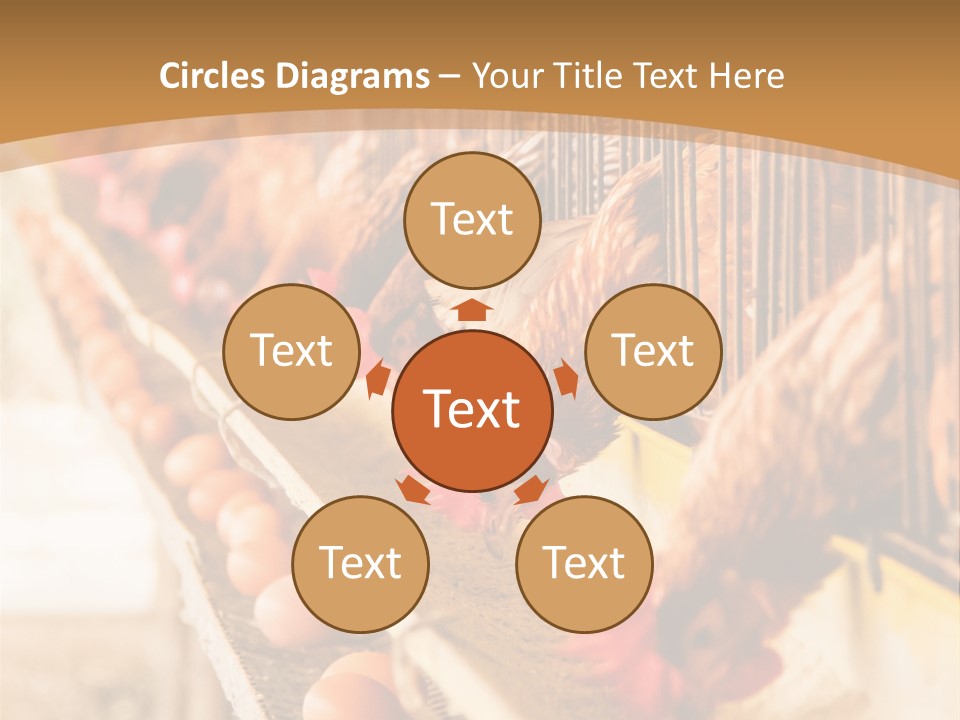 Domestic Business Country PowerPoint Template