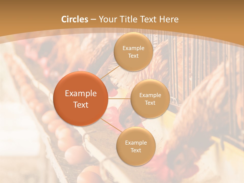 Domestic Business Country PowerPoint Template