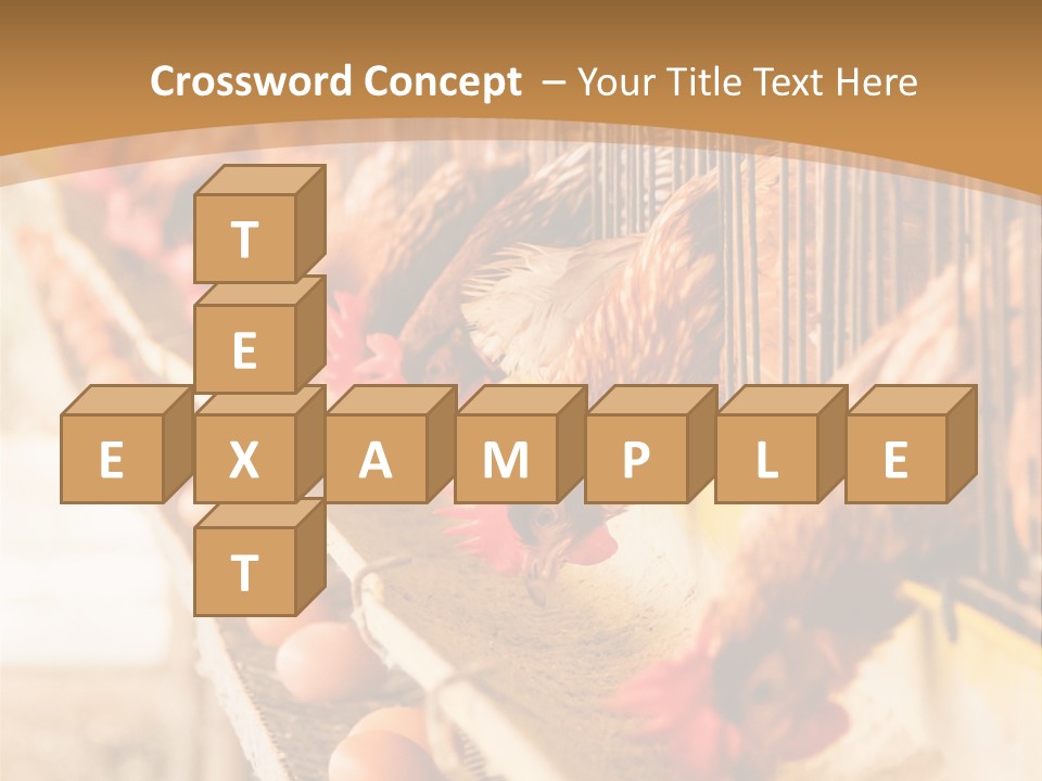 Domestic Business Country PowerPoint Template