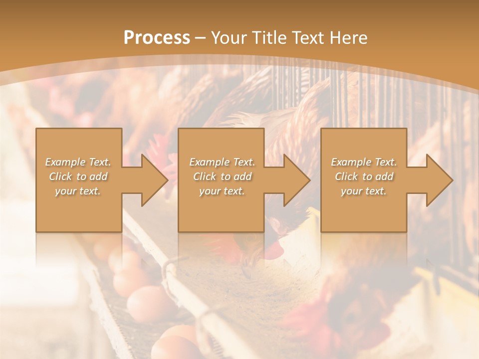 Domestic Business Country PowerPoint Template
