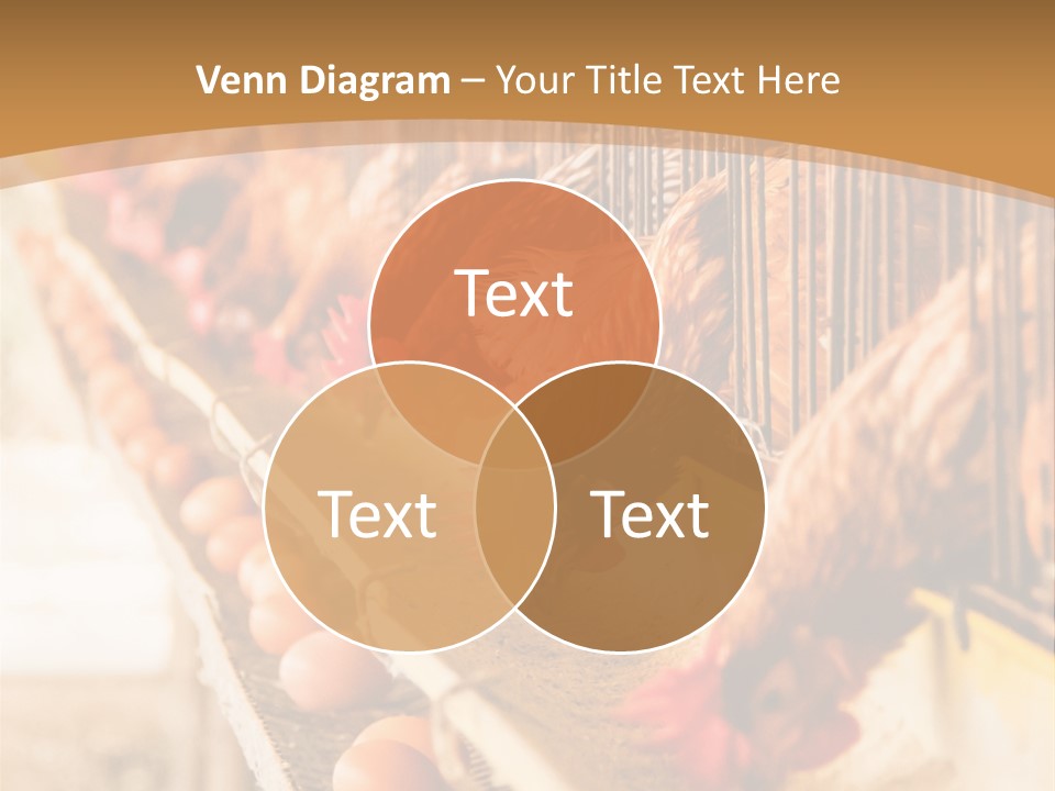 Domestic Business Country PowerPoint Template