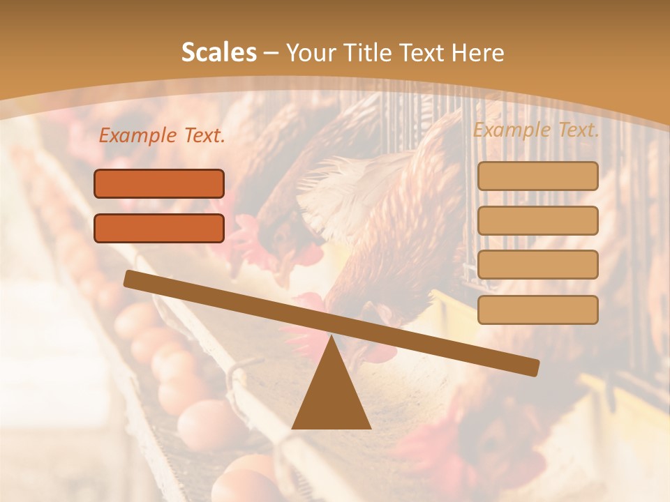 Domestic Business Country PowerPoint Template