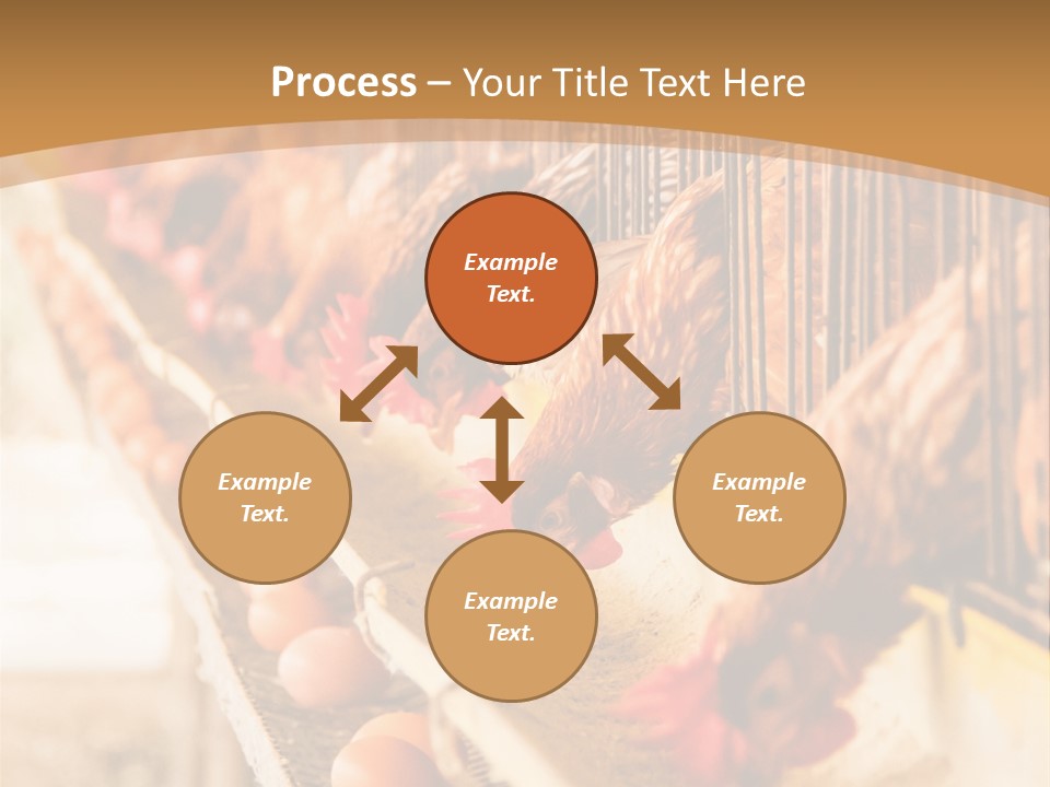 Domestic Business Country PowerPoint Template