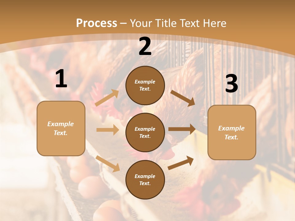 Domestic Business Country PowerPoint Template