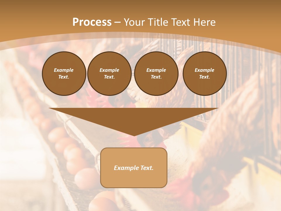 Domestic Business Country PowerPoint Template