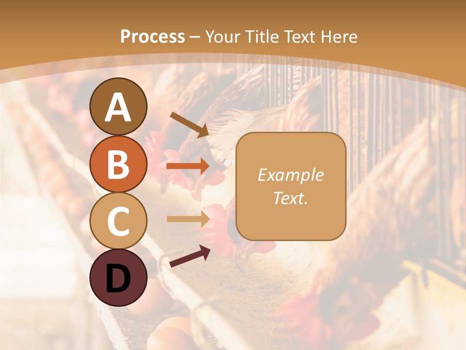 Domestic Business Country PowerPoint Template
