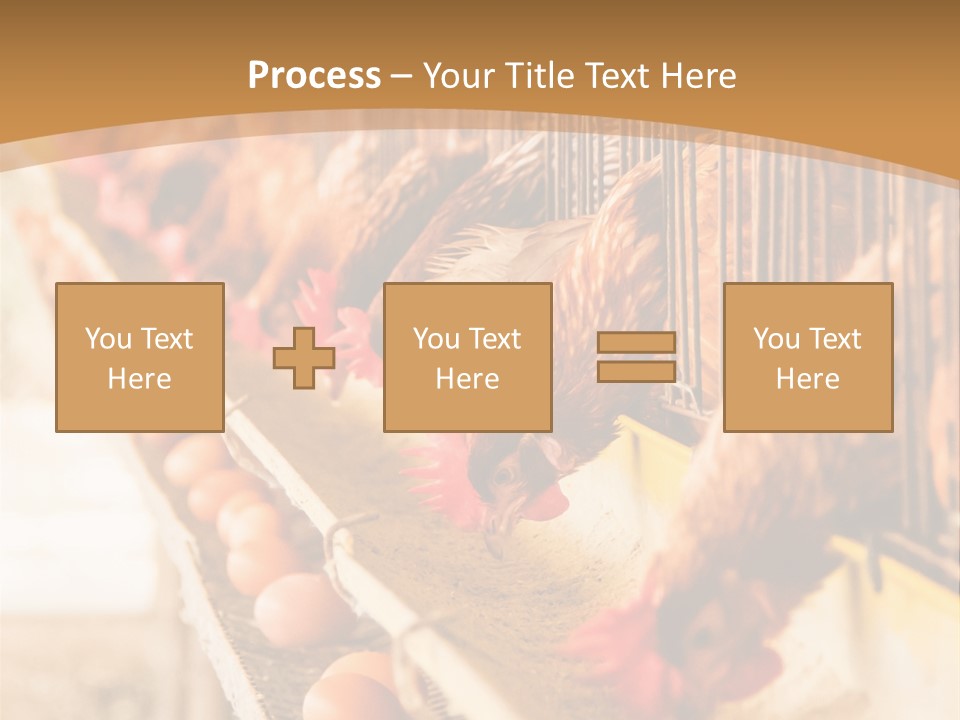 Domestic Business Country PowerPoint Template