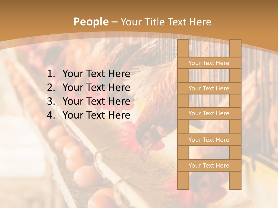 Domestic Business Country PowerPoint Template