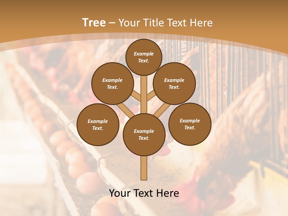 Domestic Business Country PowerPoint Template