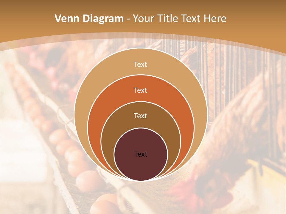 Domestic Business Country PowerPoint Template