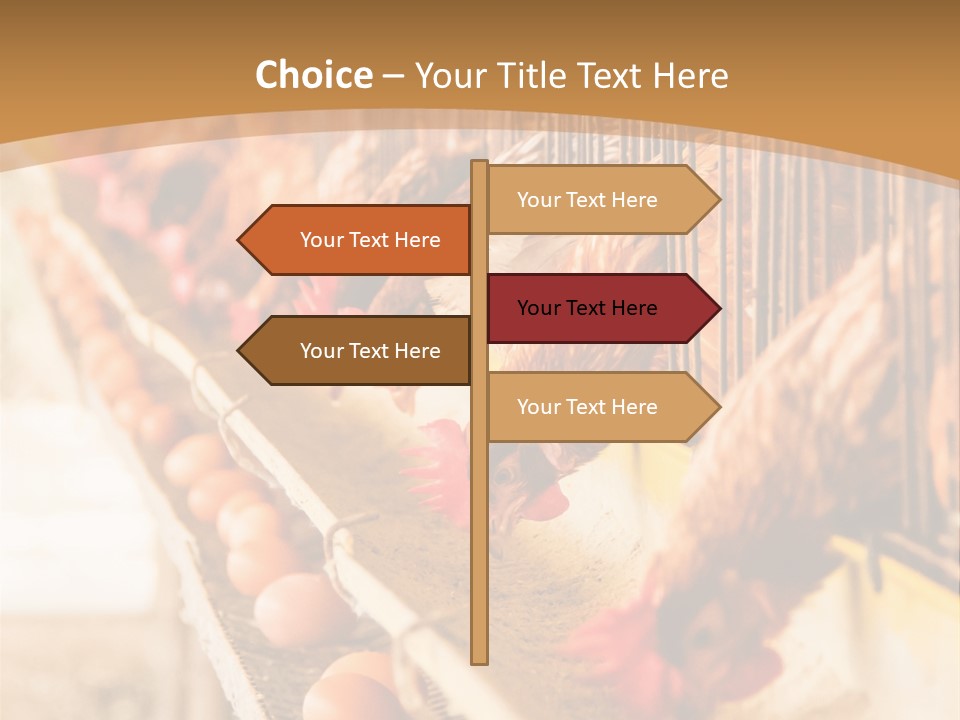 Domestic Business Country PowerPoint Template