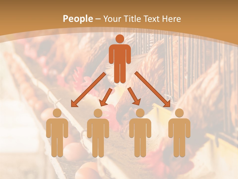 Domestic Business Country PowerPoint Template