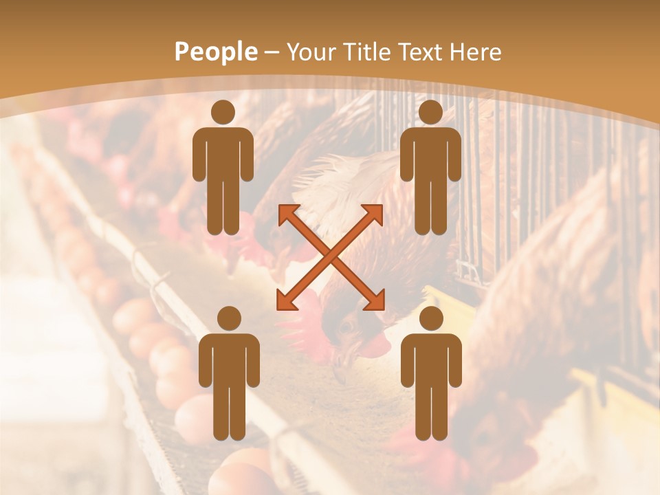 Domestic Business Country PowerPoint Template