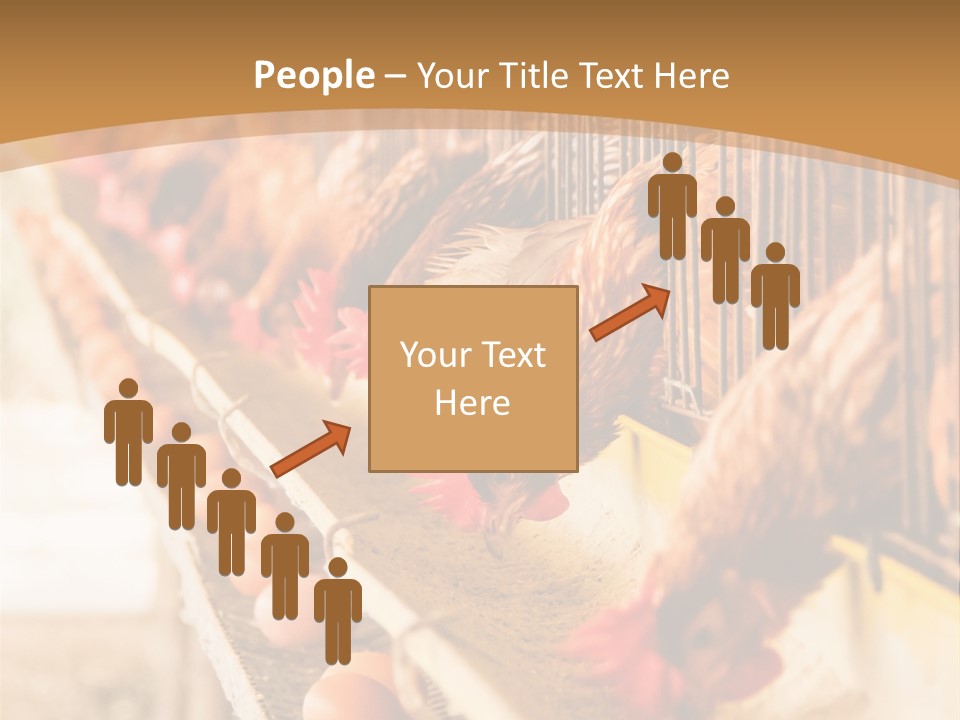 Domestic Business Country PowerPoint Template