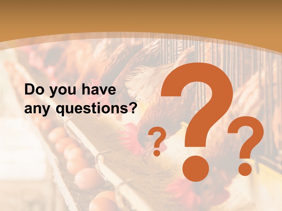 Domestic Business Country PowerPoint Template