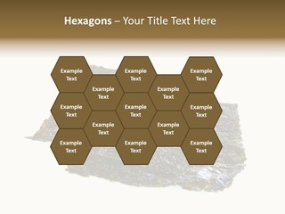 Roe Crispy Health PowerPoint Template