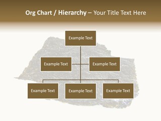 Roe Crispy Health PowerPoint Template