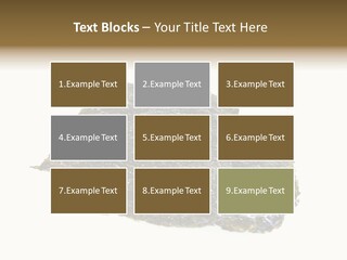 Roe Crispy Health PowerPoint Template