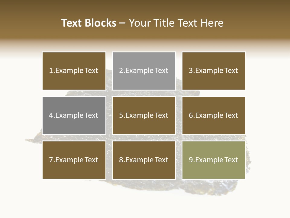 Roe Crispy Health PowerPoint Template