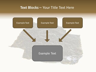 Roe Crispy Health PowerPoint Template